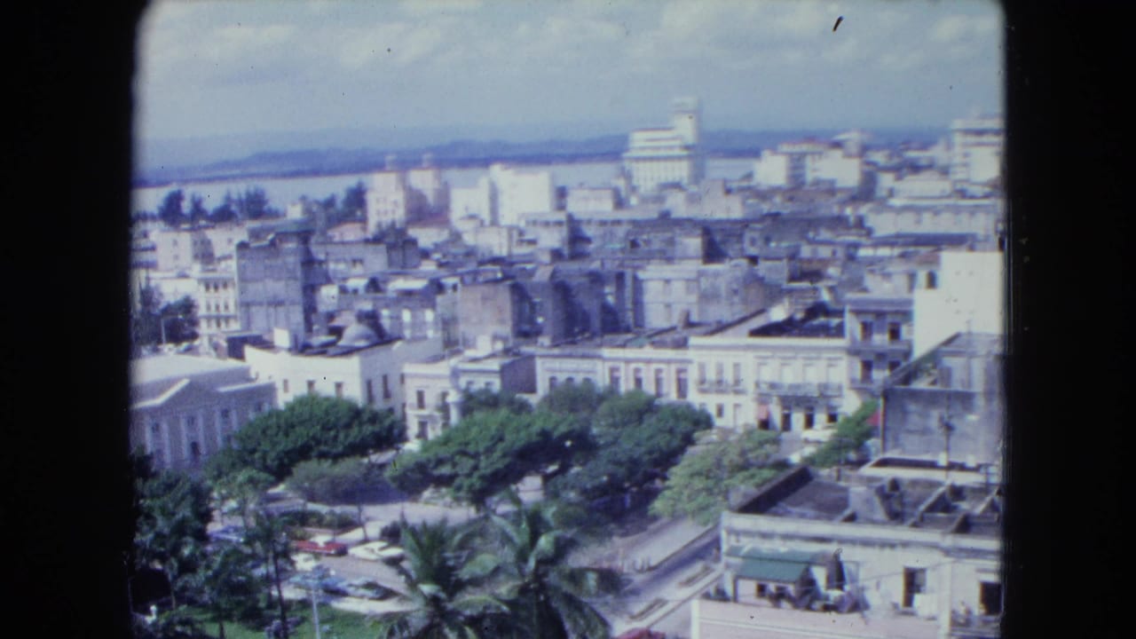 City rooftops and palms seen from above with water and distant buildings beyond.