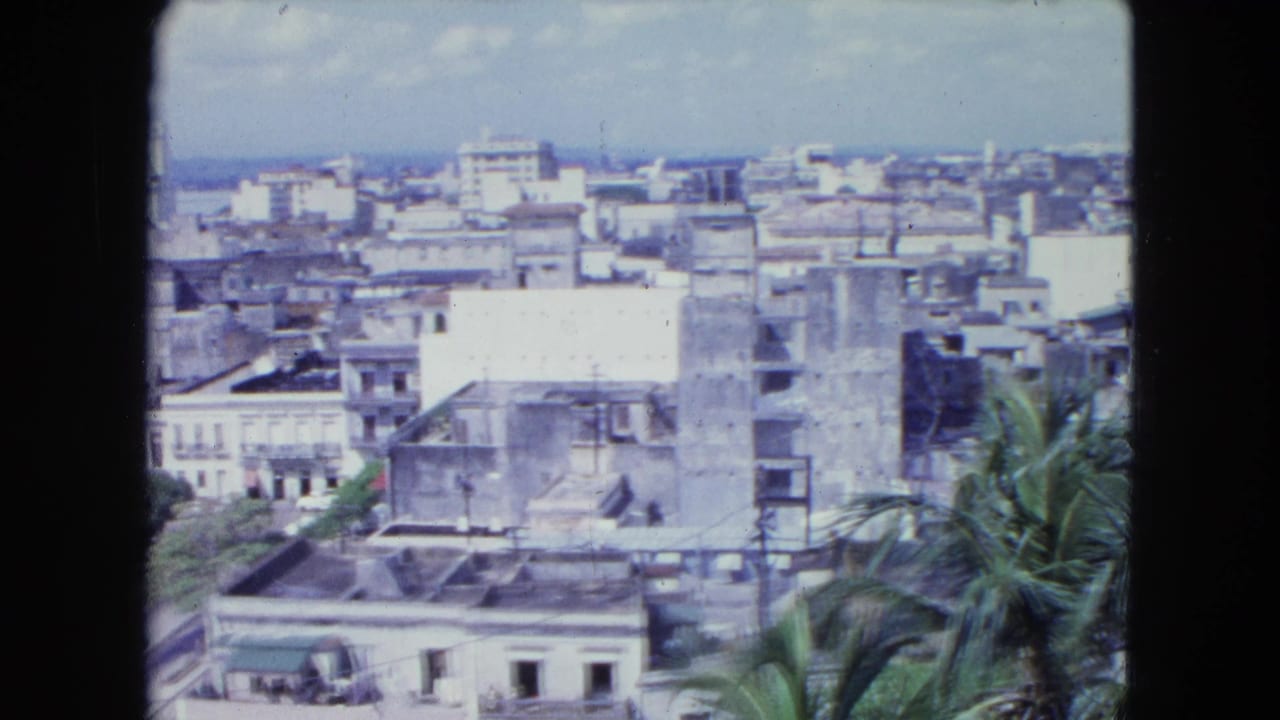 Elevated view over San Juan rooftops with palm trees in the foreground.