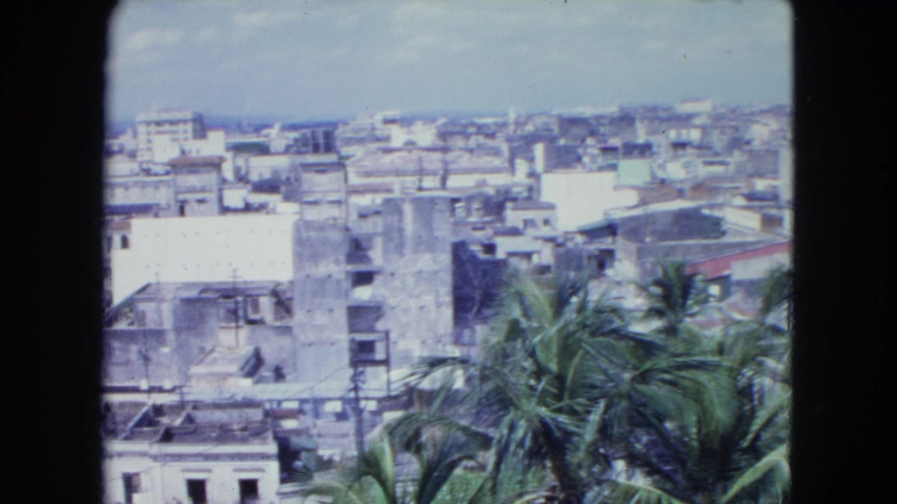 City rooftops and apartment buildings seen beyond palm trees.