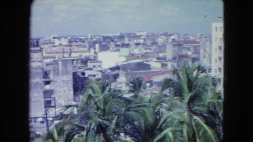 1964 San Juan skyline view with palms in the foreground and low-rise urban blocks beyond.