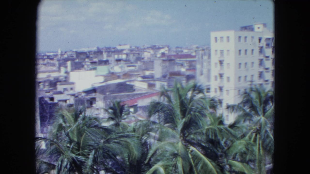 Palm trees in front of San Juan rooftops, a white high-rise, and ocean in the distance.