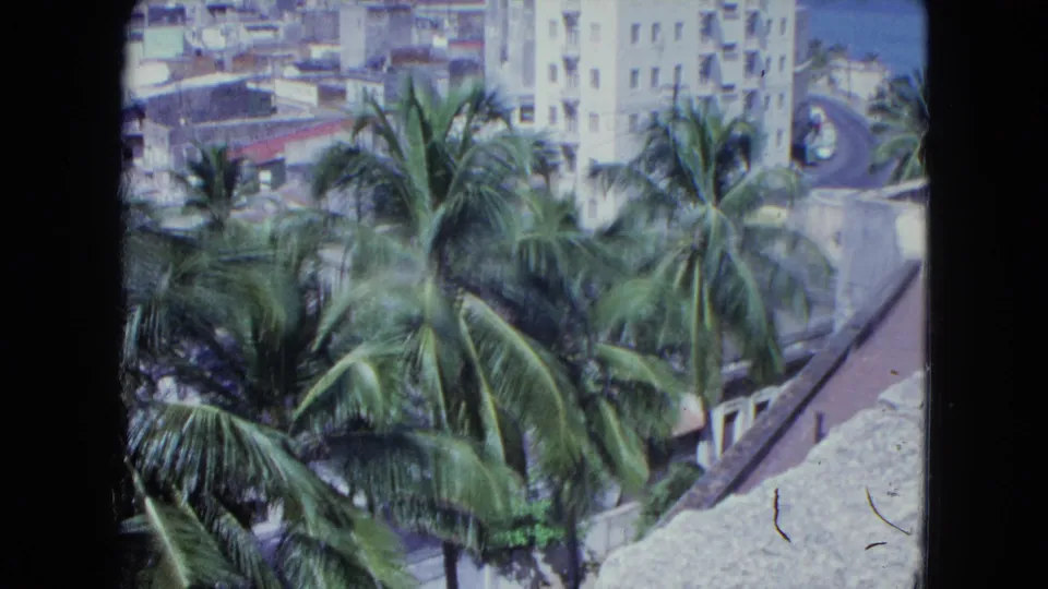 1964 San Juan home-movie frame with palms and a rooftop edge overlooking dense buildings and the ocean.