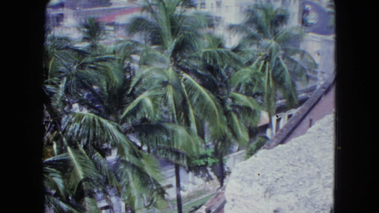 1964 San Juan home-movie frame looking down over palm trees, stone fort walls, walkways, and distant buildings.