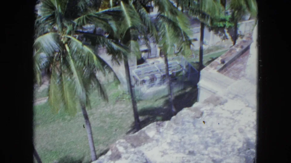 1960s home-movie view of a tall palm, green lawn, pale stone fort wall, and path from above in San Juan.