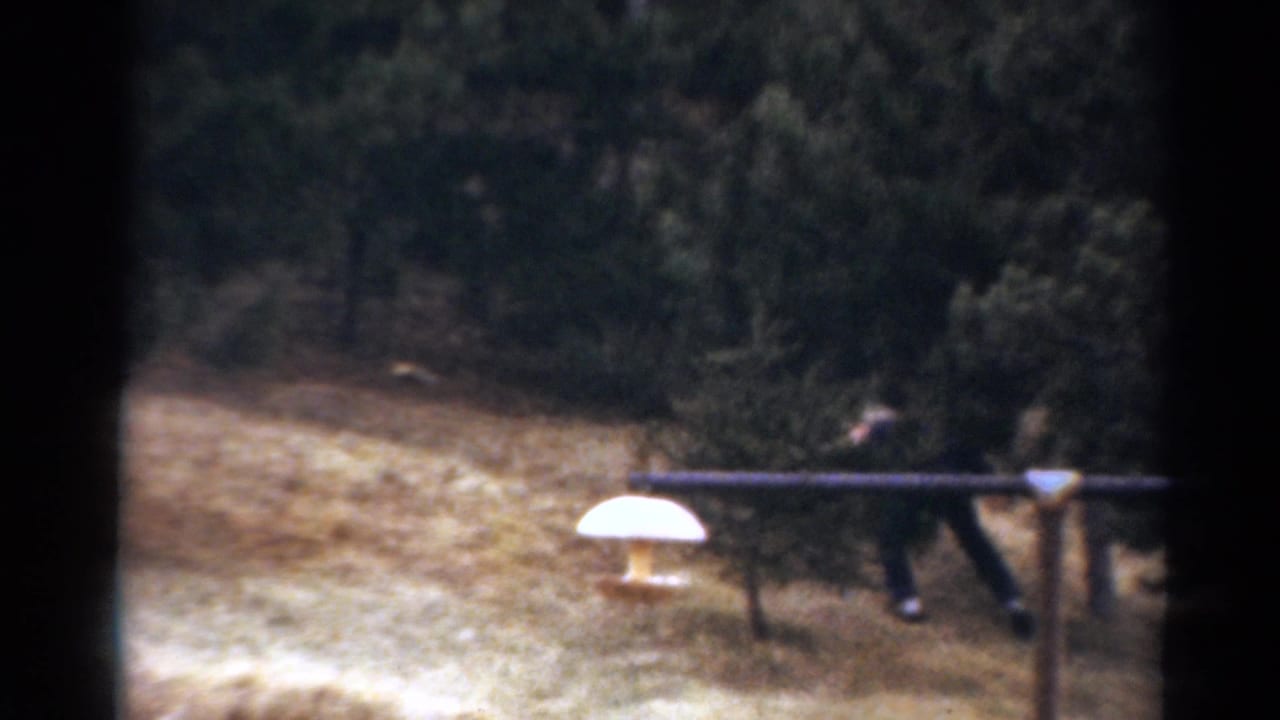 Wooded yard with dark-clothed figures partly hidden behind trees and a white mushroom-shaped yard object.