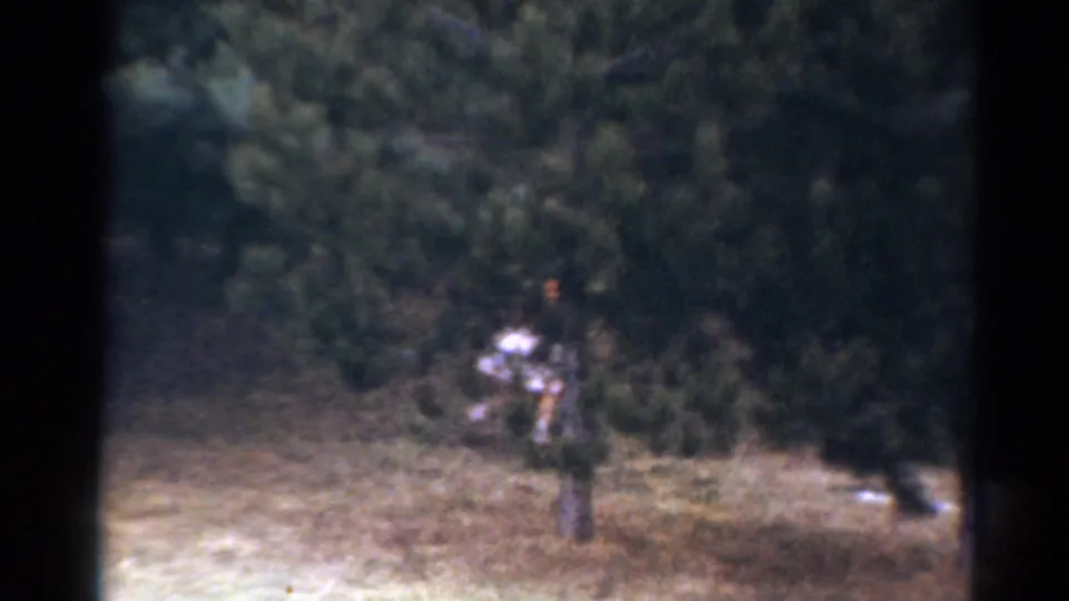 1964 Toledo frame showing a wooded grassy yard with a small partially obscured figure amid trees and soft 8mm texture.