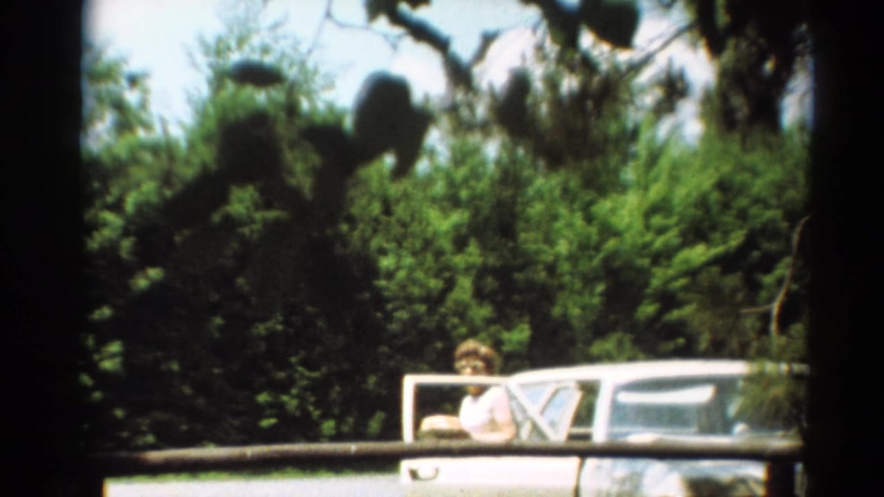 White car partly hidden by branches with a woman near the passenger side.