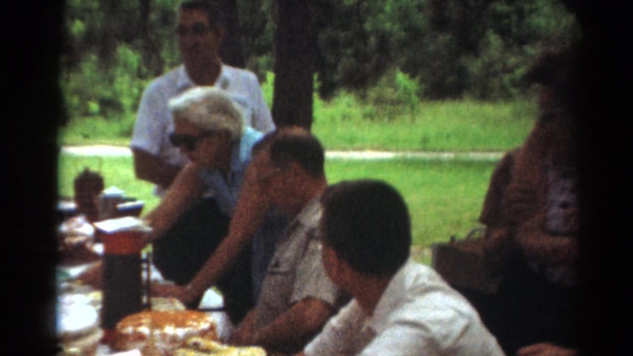 Several adults sit near picnic food while others stand in the park background.