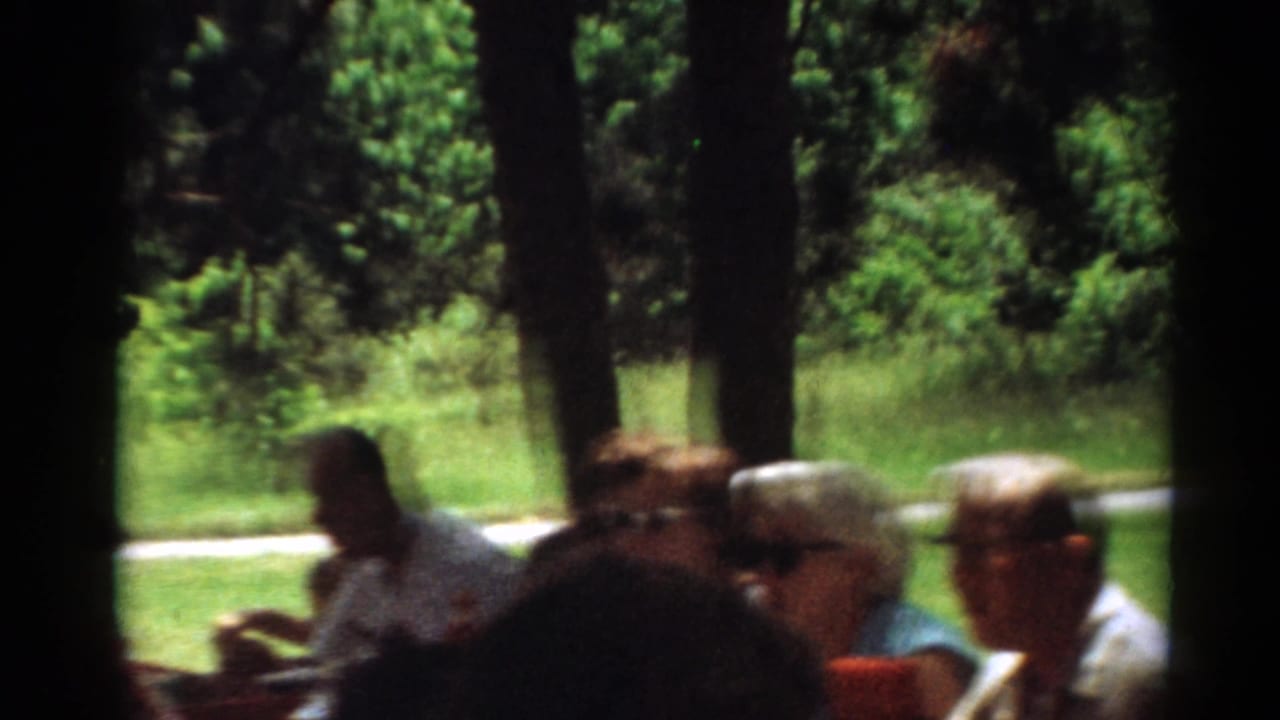 Adults seated at an outdoor picnic table beneath trees in a park.