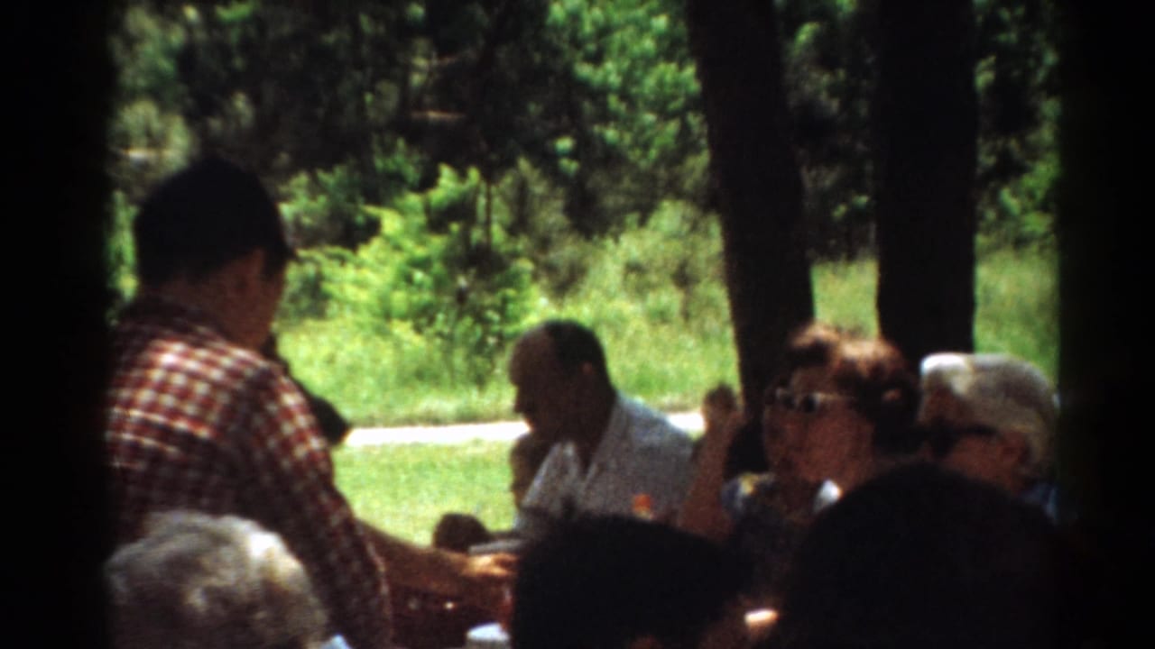 Man in a red plaid shirt stands near adults eating at a picnic table.