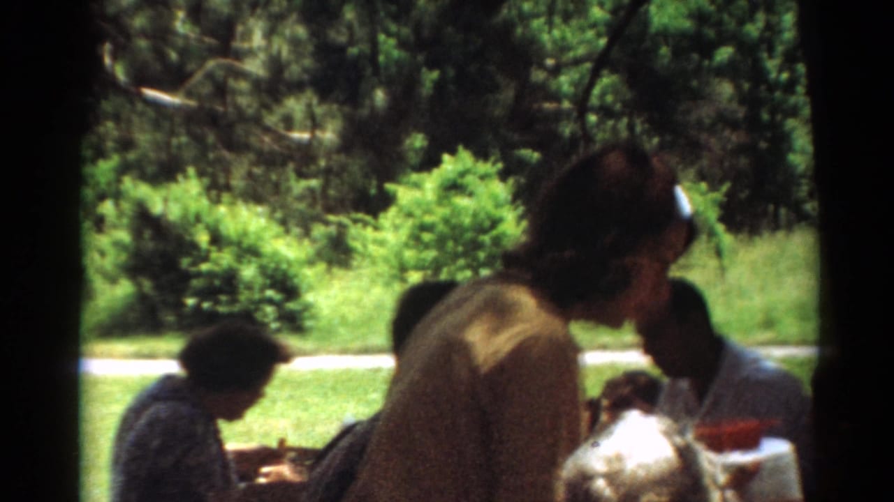 1964 Toledo park picnic scene with a woman standing near the table, seated adults, food, glasses, grass, and trees behind them.