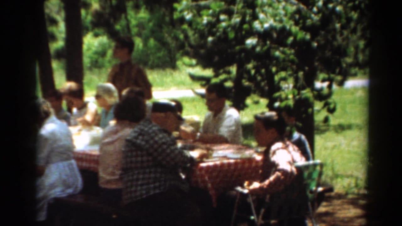 People seated at a shaded picnic table with a checkered tablecloth in a park.