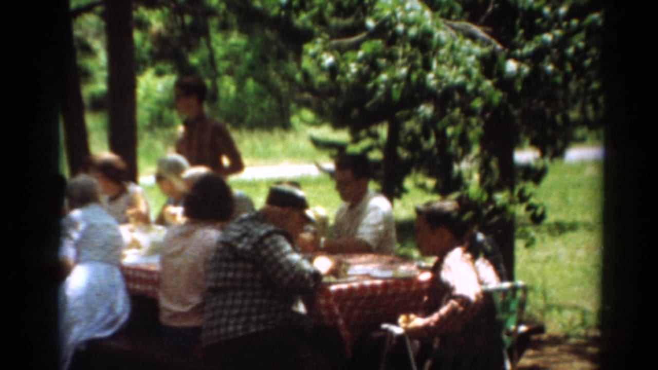Home-movie view of a 1964 Toledo park picnic with adults eating and a boy standing beside the table.