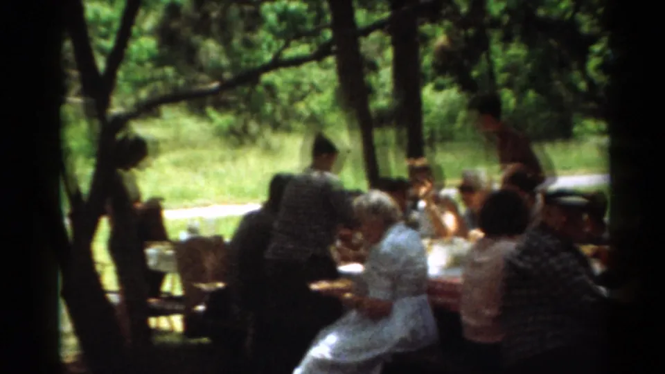 Wider 1964 Toledo home-movie frame showing the picnic group partly obscured by trees and shade.