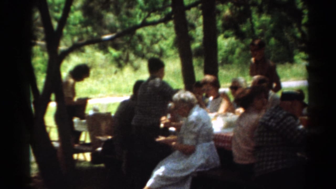 Adults seated at shaded picnic tables in a park, eating and talking.