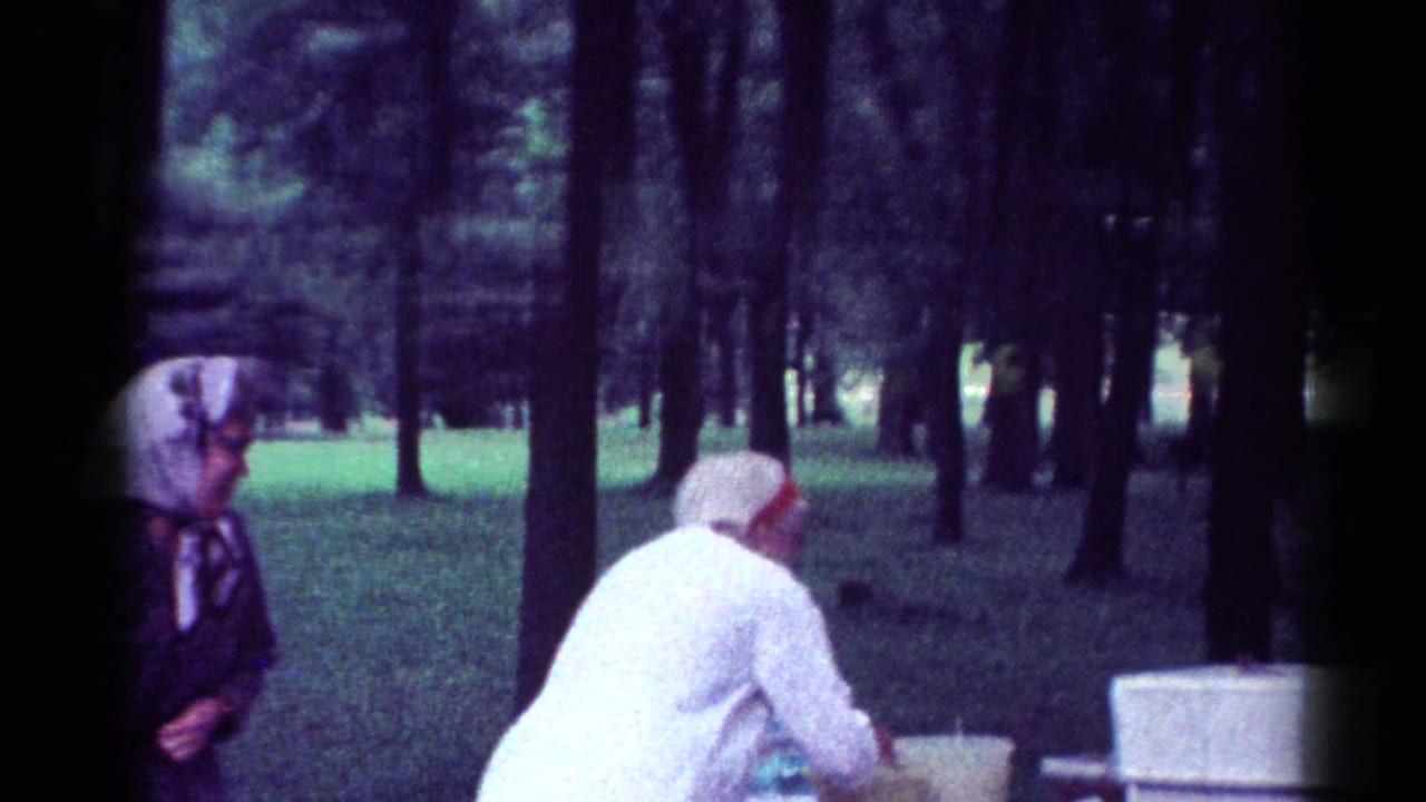 1964 Toledo park picnic scene with a woman in white and a headscarfed older woman near the table.