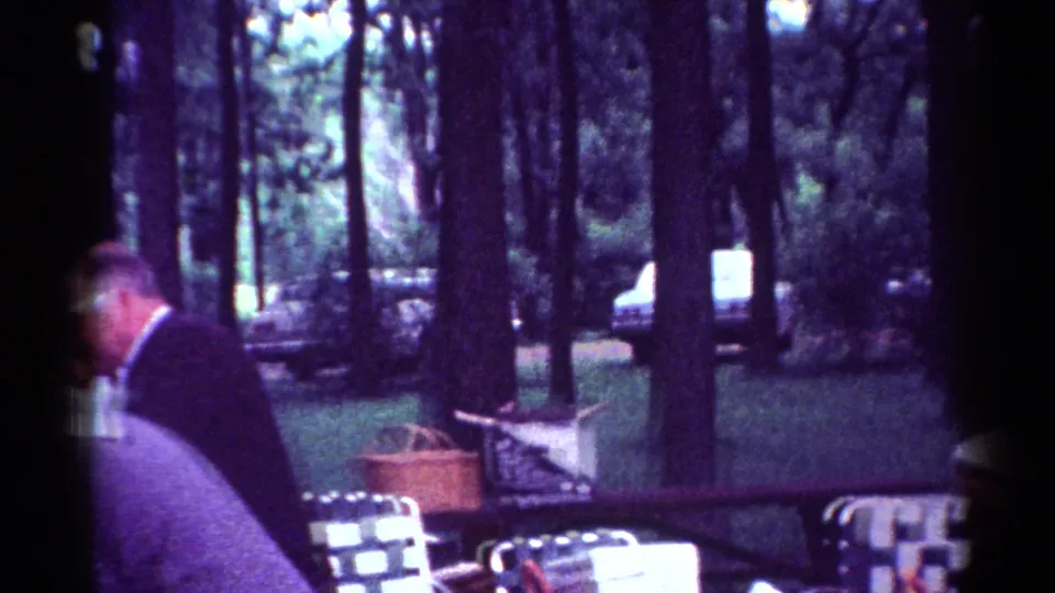 A suited adult briefly enters the 1964 Toledo picnic scene, with the seated woman, folding chairs, trees, and cars still visible.