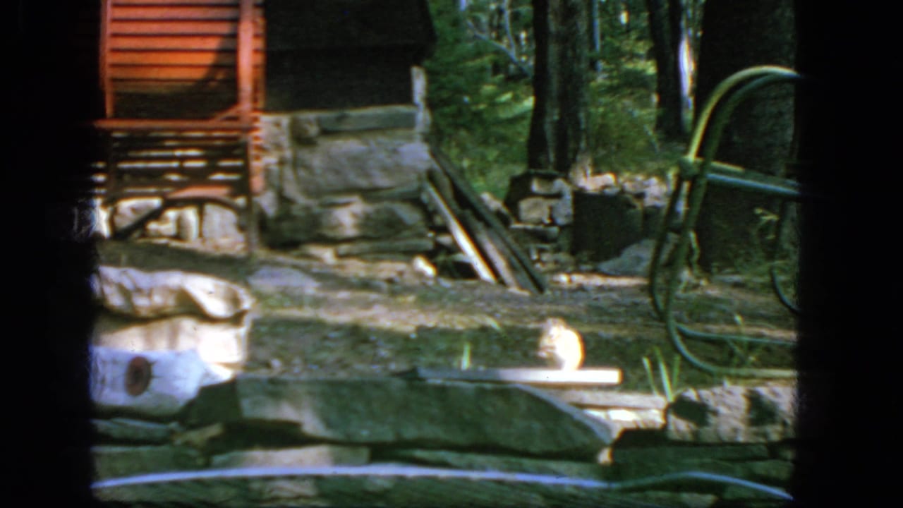 Rustic cabin yard with stone patio, chair, trees, and a small animal near the ground.