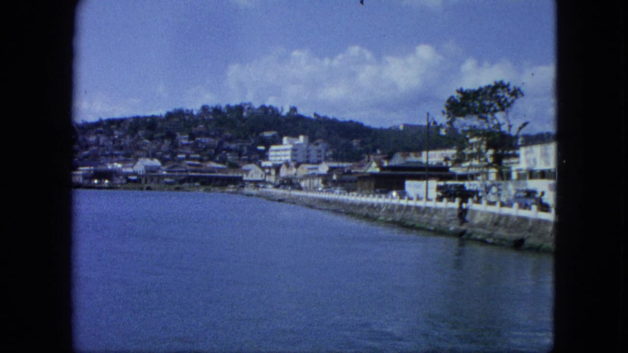 Coastal street and seawall beside water, with buildings and a tree at the right edge.