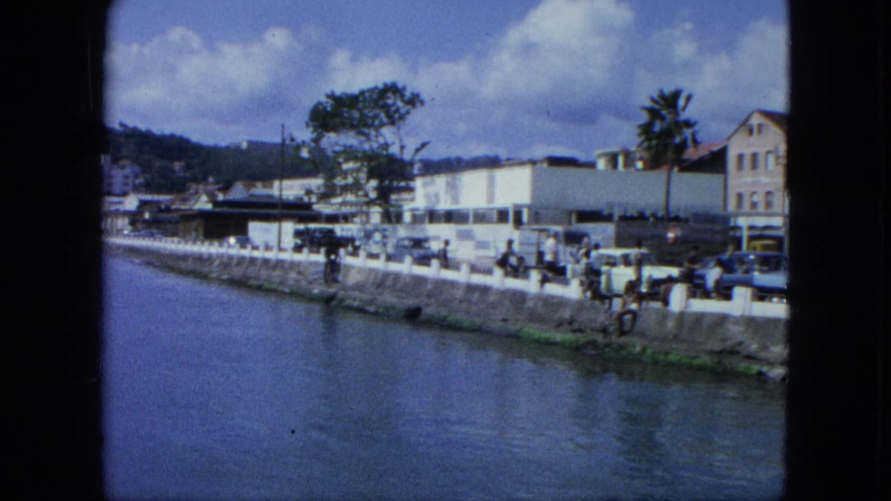 Harbor water beside a concrete seawall with pedestrians, cars, palm trees, and low-rise buildings.