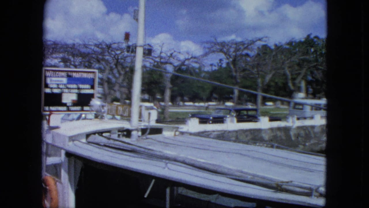 Marina dock with ropes, a sign, parked cars, and trees behind a stone seawall.