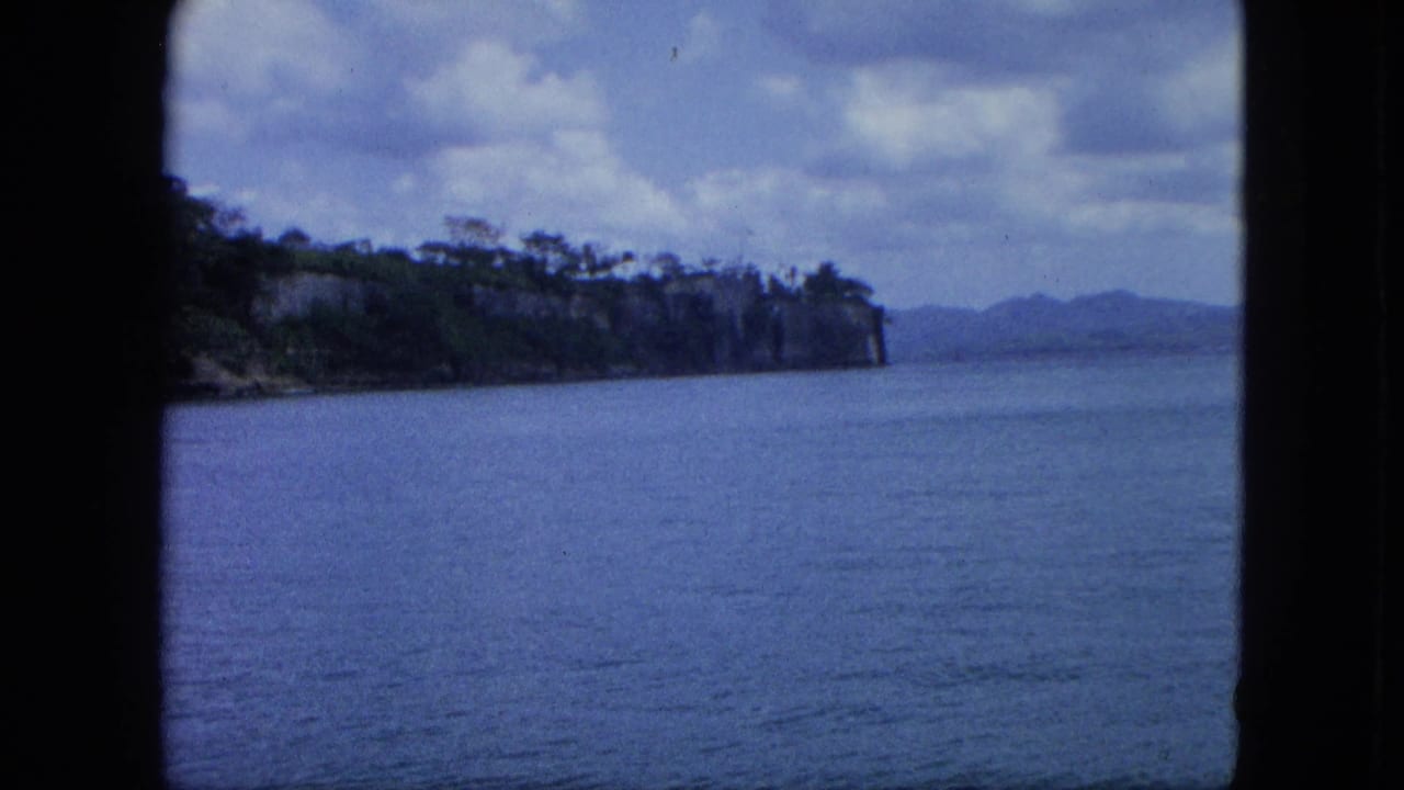 Blue sea beside a tree-covered coastal cliff under a cloudy sky.