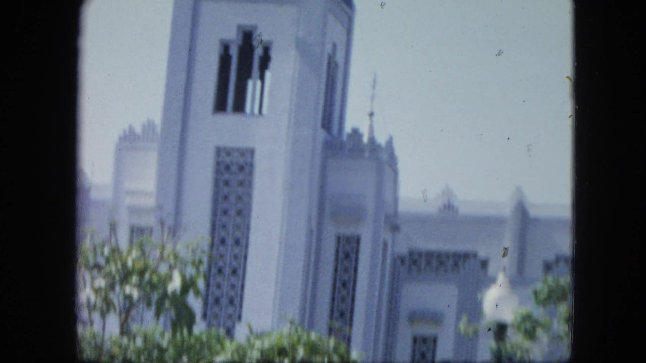 White tower and patterned wall panels rise behind trees in bright sun.