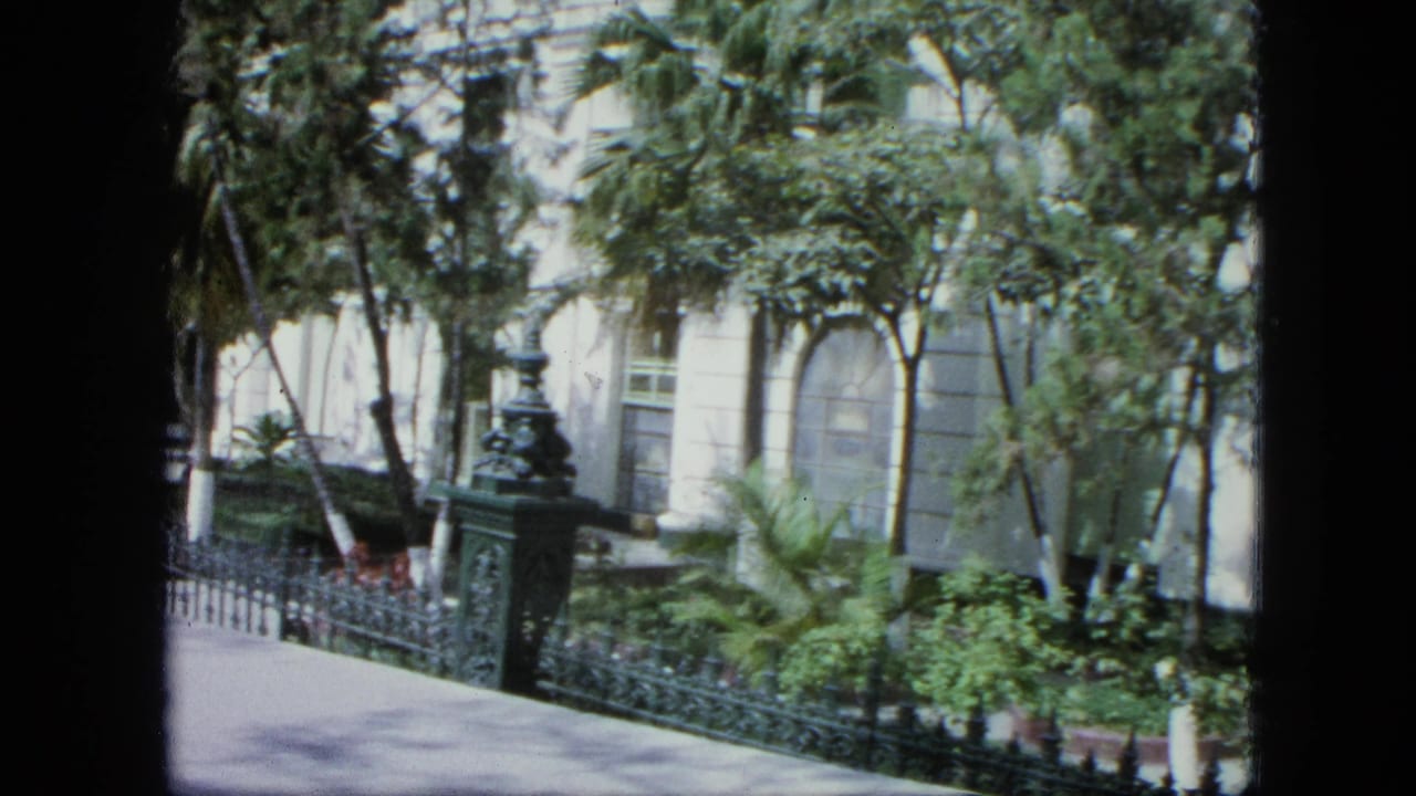 1964 Venezuela frame with a white exterior wall, arched window area, palm fronds, leafy trees, iron fence, and shaded landscaping.