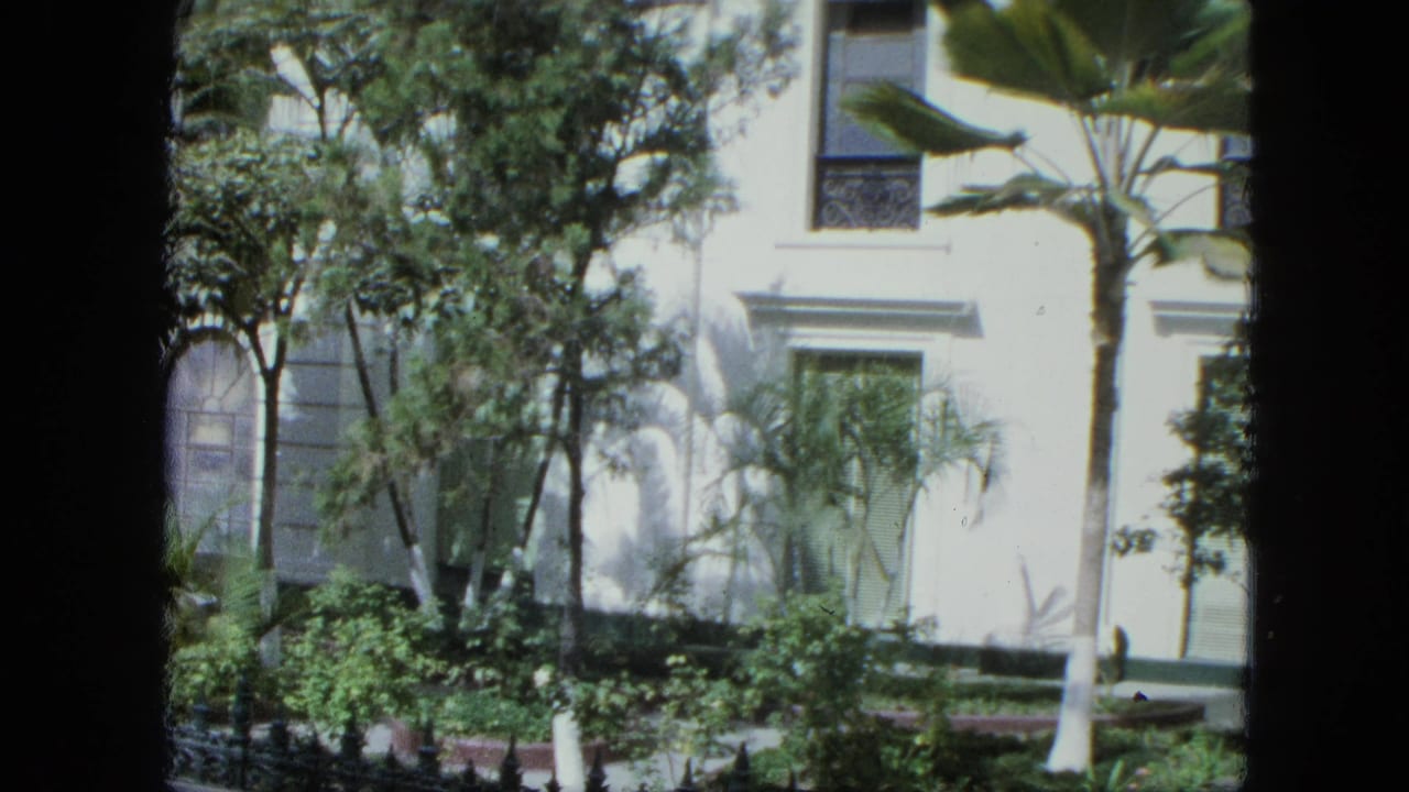 1964 8mm frame showing a sunlit white building exterior, tall palms, shuttered windows, and planted courtyard greenery.