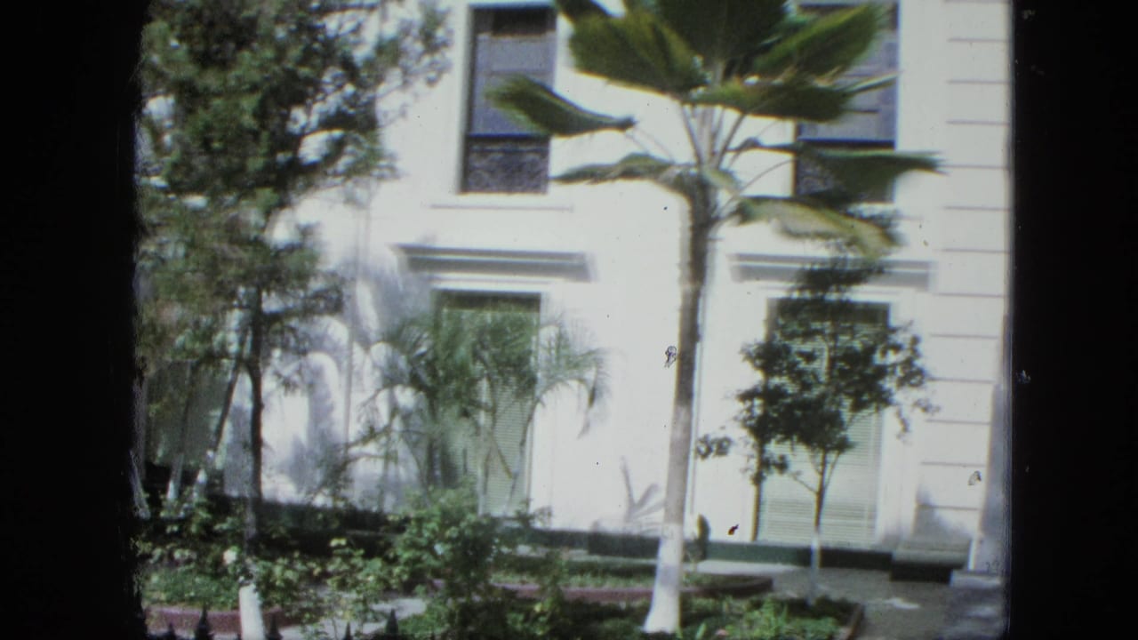 Sunlit white facade with palms, windows, shrubs, and dark iron fence.