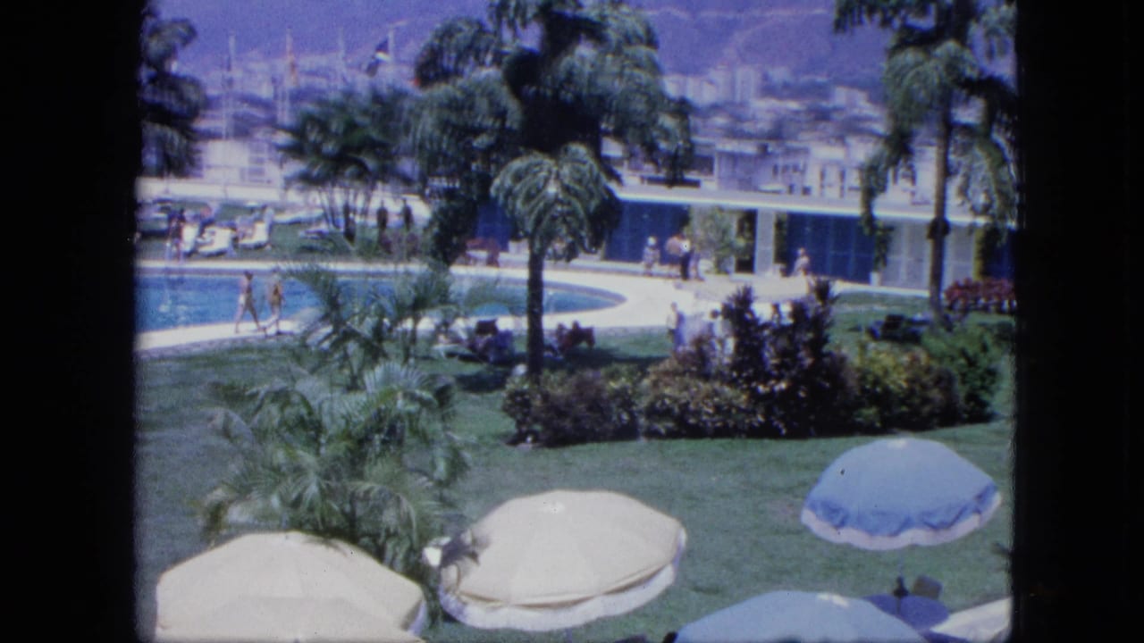Poolside resort lawn with palm trees, umbrellas, guests, and distant buildings.