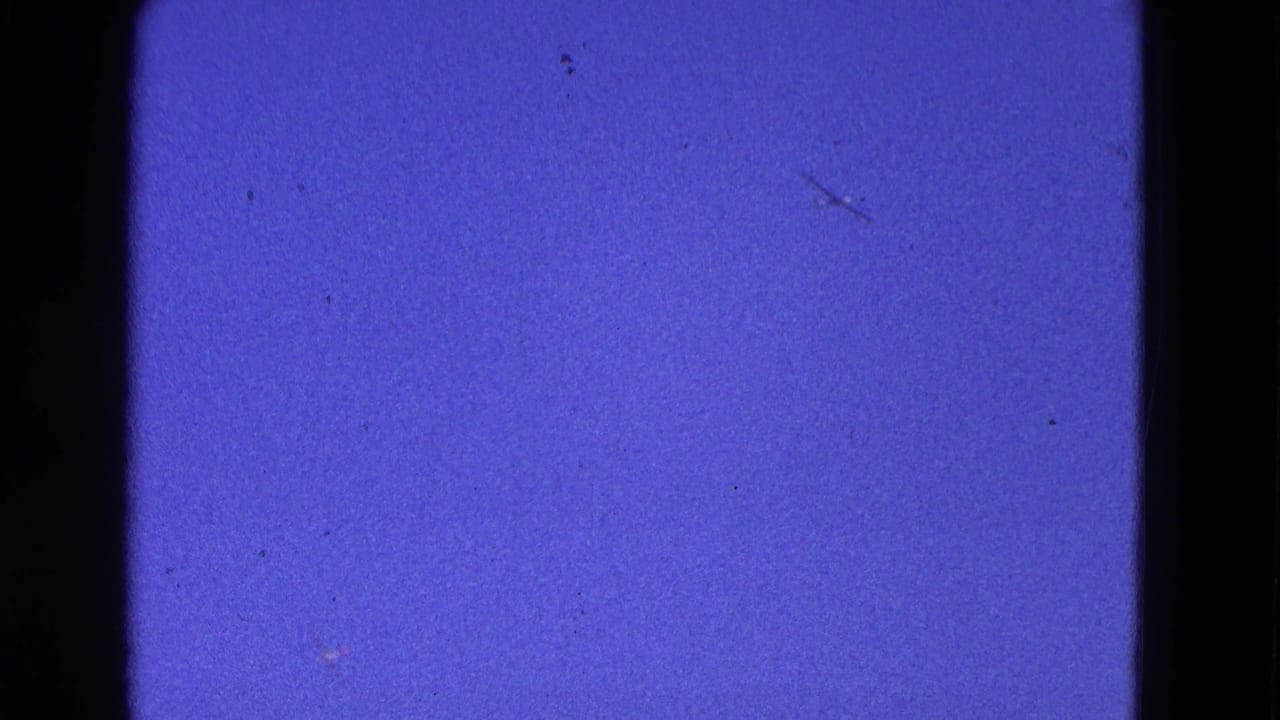 1964 Washington, DC 8mm home-movie frame showing blue sky, film borders, dust marks, and a faint small bird silhouette.