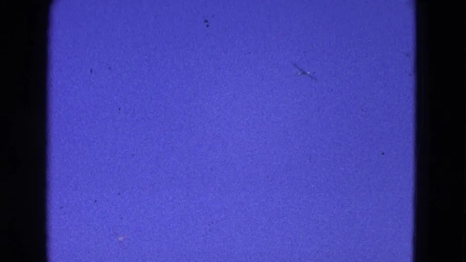 1964 Washington, DC 8mm home-movie frame showing blue sky, film borders, dust marks, and a faint small bird silhouette.