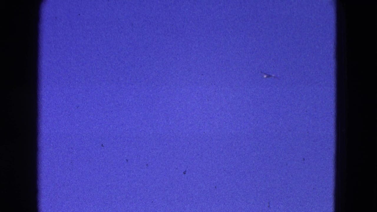 1964 Washington, DC 8mm frame of blue sky with physical film borders, grain, dust, and faint specks that may include a distant bird.
