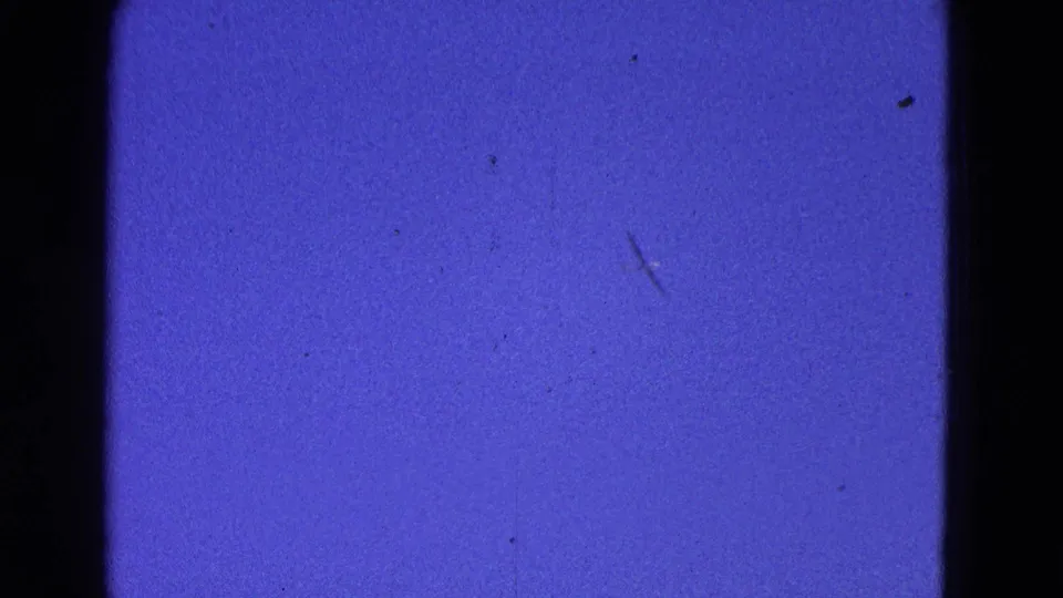 1964 Washington, DC 8mm frame showing blue sky, dark film edge, grain, dust, and a faint shape that may be a distant bird.