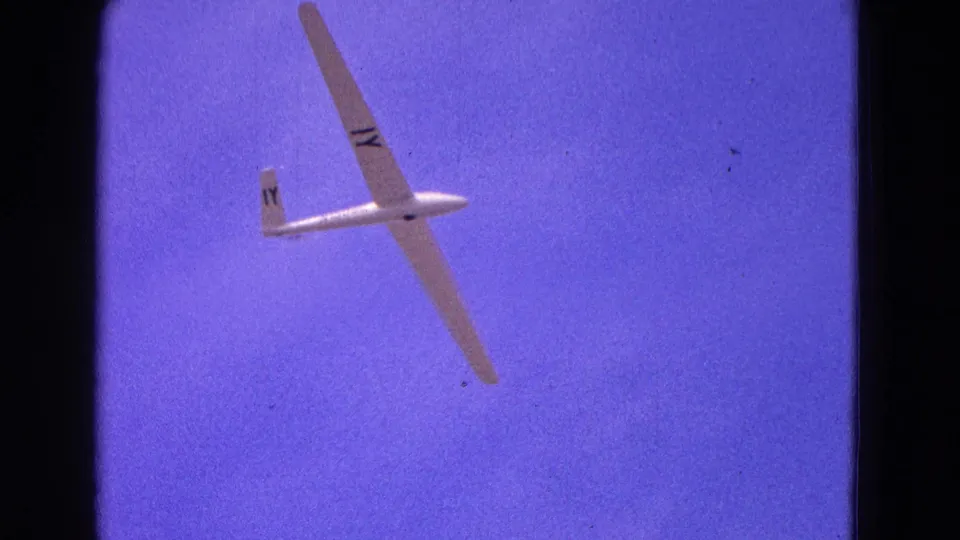 The glider is angled nearly vertical in the frame, showing dark 1Y markings on wing and tail against the purple sky.