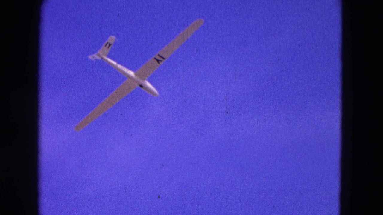 White glider banking against a vivid blue sky with dark markings on one wing.