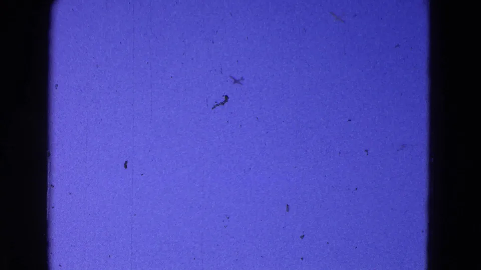 The clip ends on a blue-sky 8mm frame with a small distant aircraft and scattered physical-film dust marks.