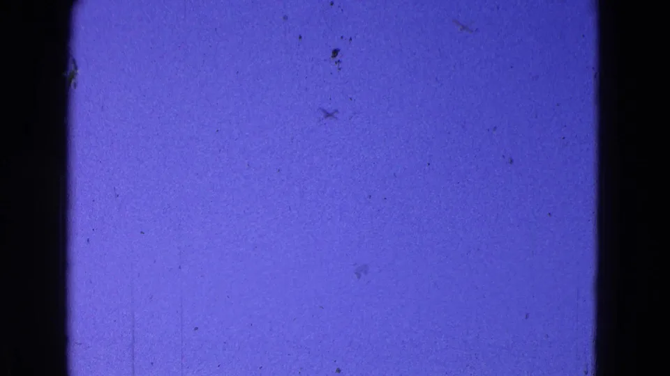 1964 8mm frame showing a deep blue-purple sky with dark edge shadows, visible dust, scratches, and a few leaves near the top.