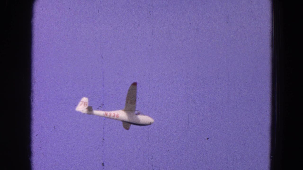 White glider seen in profile against a purple-blue sky.