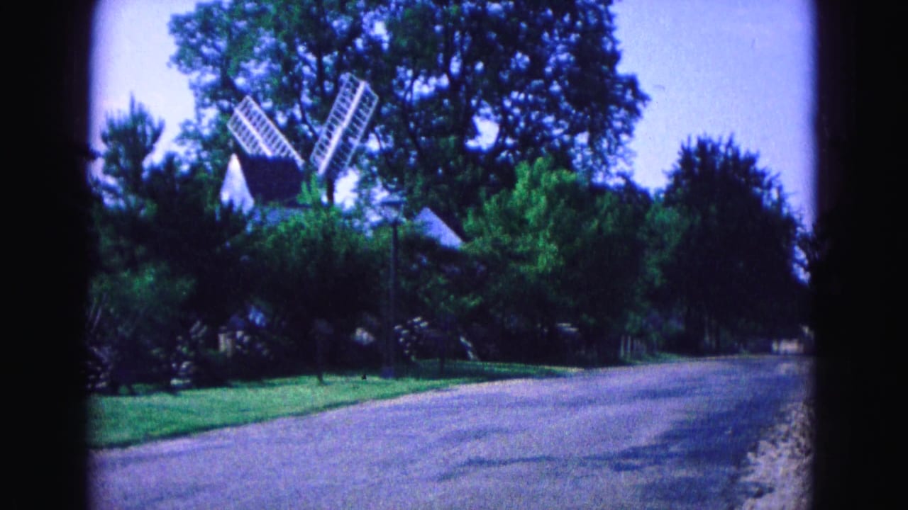 White windmill partly hidden among trees beside a quiet street.