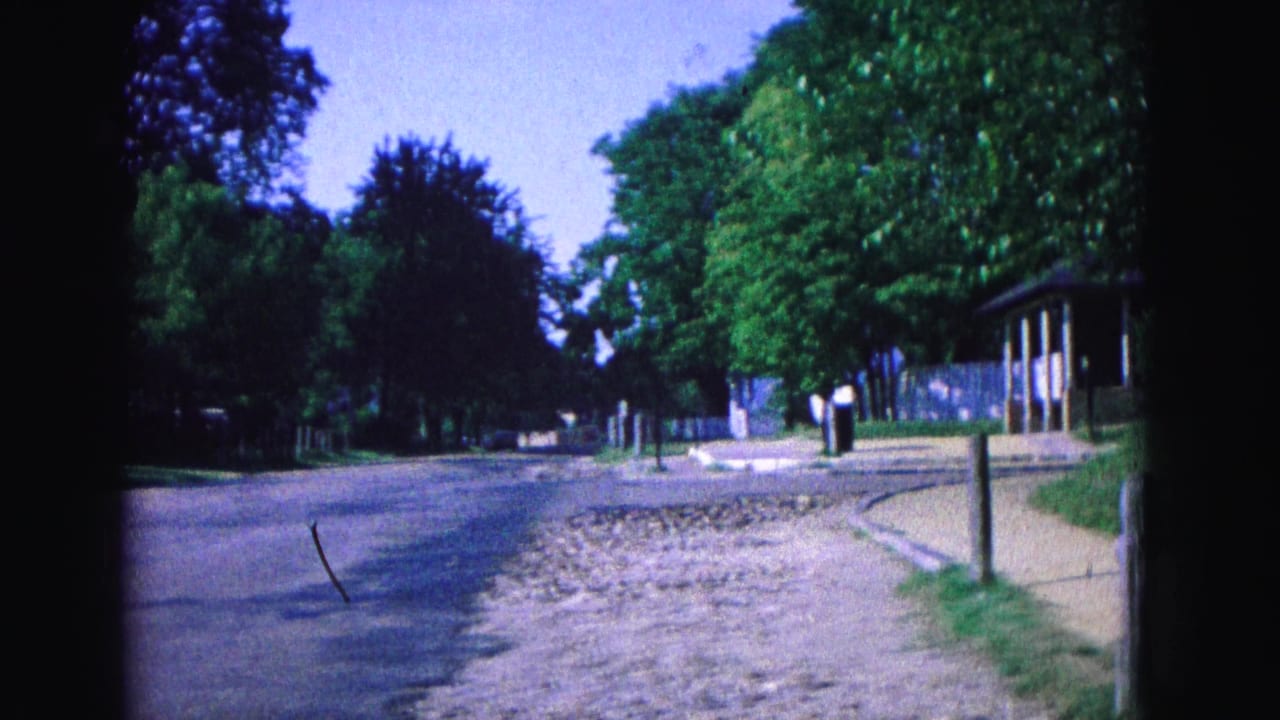 Quiet road and path bordered by trees, grass, wooden posts, and a small shelter.