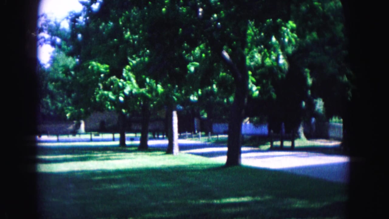 Tree-lined lawn with a pale walkway curving through the grounds.