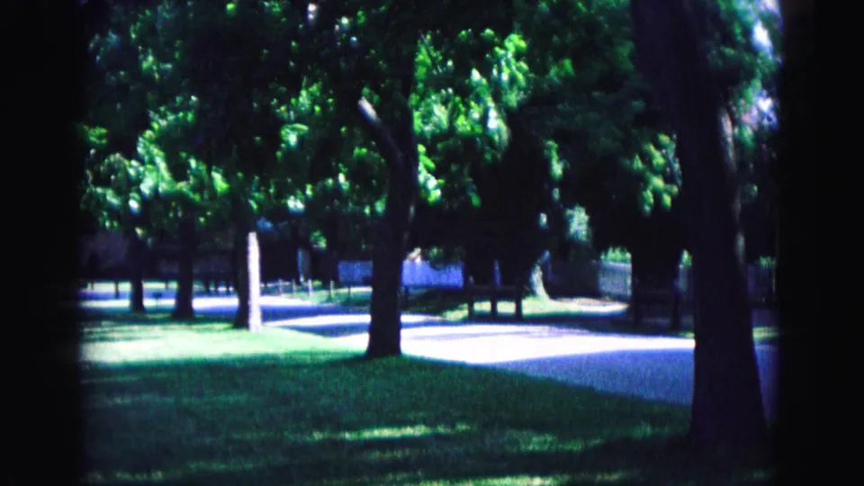 1964 Williamsburg view of shade trees, grass, and a pale walkway seen from a handheld home-movie pan.