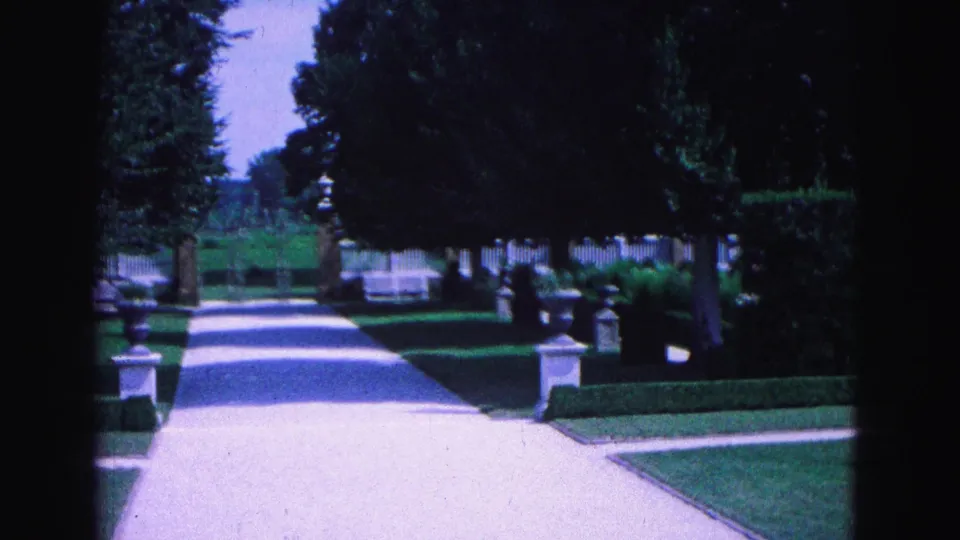 A bright garden path in 1964 Williamsburg runs between clipped hedges, shaded trees, stone posts, lawn, and distant fence lines.