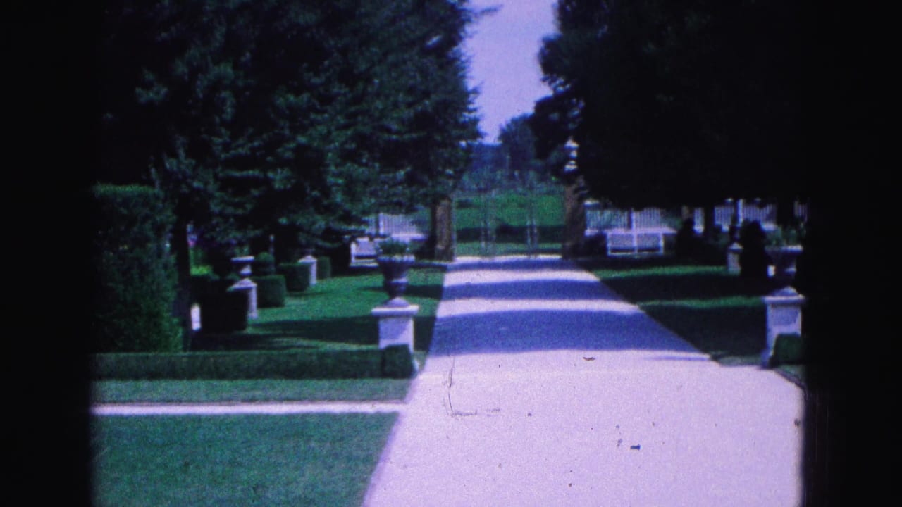 Sunlit formal walkway lined with hedges, trees, urns, and low garden borders.