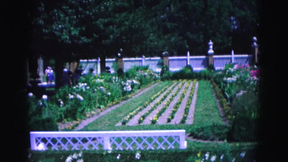 1964 Williamsburg garden frame showing aligned beds, white fencing, flowers, trees, and distant people walking or standing.