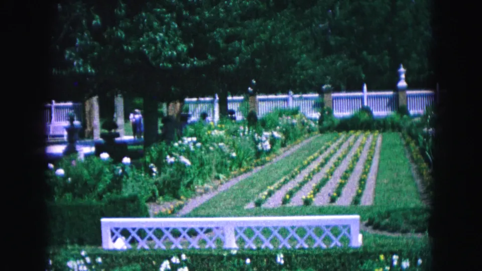 Williamsburg garden scene with a white lattice barrier, neat planting rows, bright flowers, tall trees, and distant visitors.