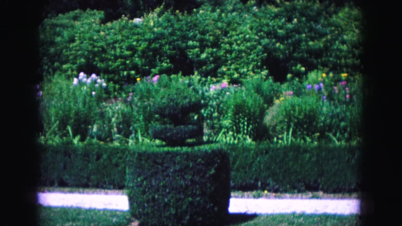 Formal garden with clipped hedges, flower beds, and a pale walkway.