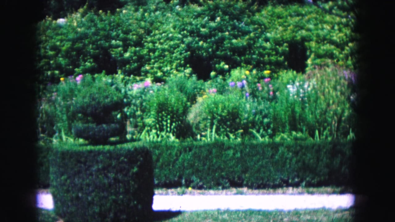 Williamsburg garden footage shows a structured hedge line, colorful flowers, tall greenery, and a white walkway in 1964 8mm film.